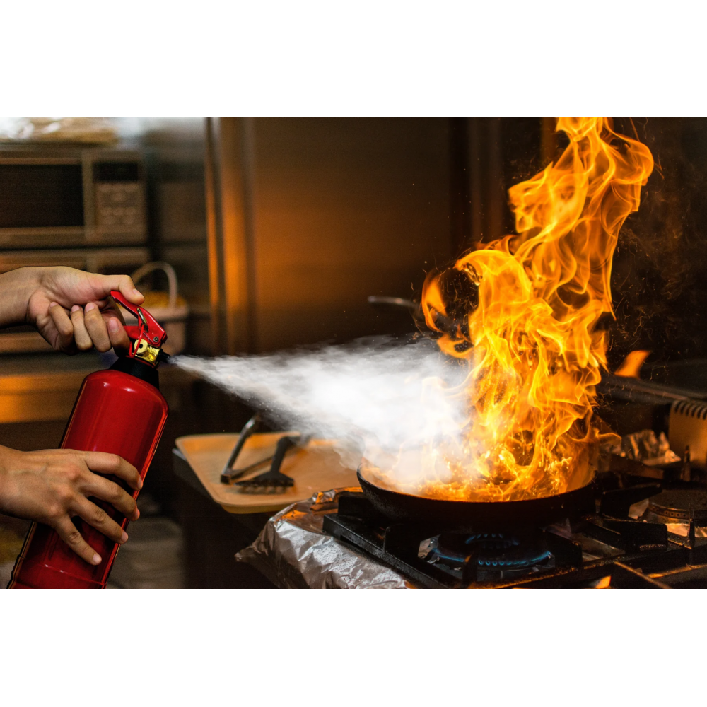 Alecto BP-2 - Poederblusser 2 kg