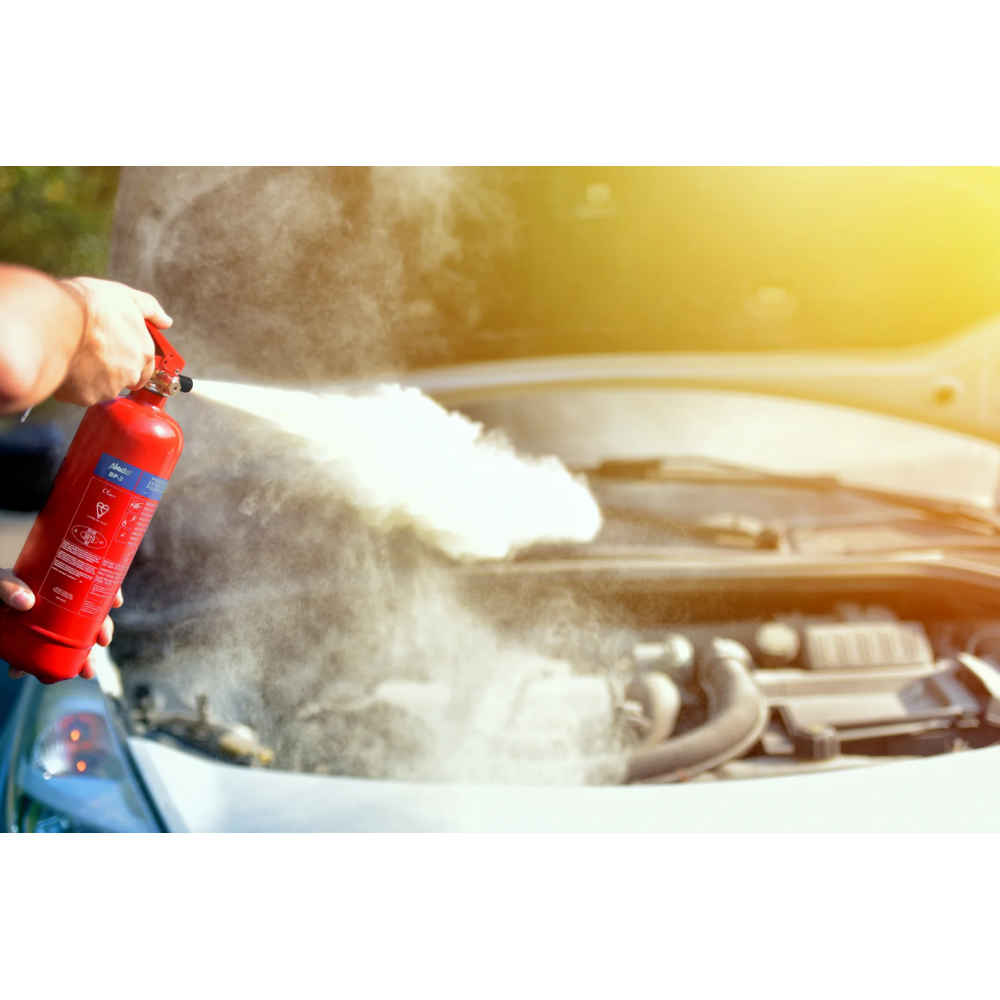 Alecto BP-2 - Poederblusser 2 kg