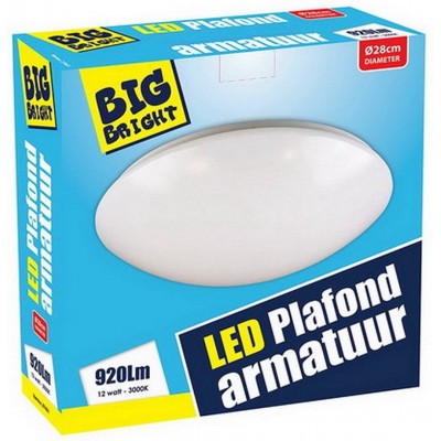 Big Bright LED Plafond/Wandlamp 12W 3000K 28cm