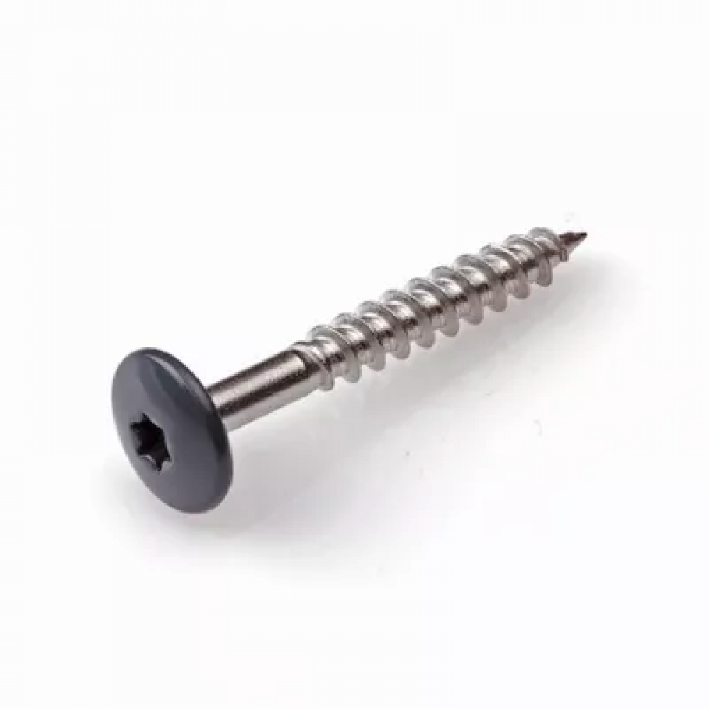 HPL Schroef 4.8x25 Antracietgrijs RAL7016 RVS-A2 TX20 (100 stuks)