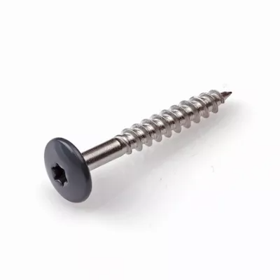 HPL Schroef 4.8x25 Antracietgrijs RAL7016 RVS-A2 TX20 (100 stuks)