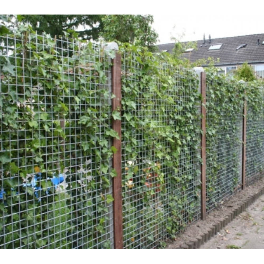 Gaaspaneel Verzinkt 180x180cm - Maaswijdte 10x10cm - Dikte 4mm