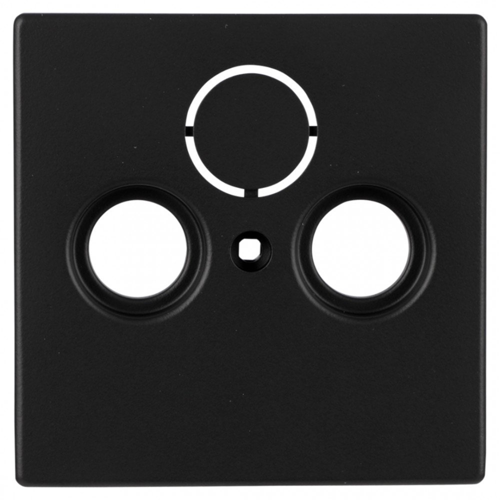 Busch-Jaeger Future Linear centraalplaat radio/tv - zwart