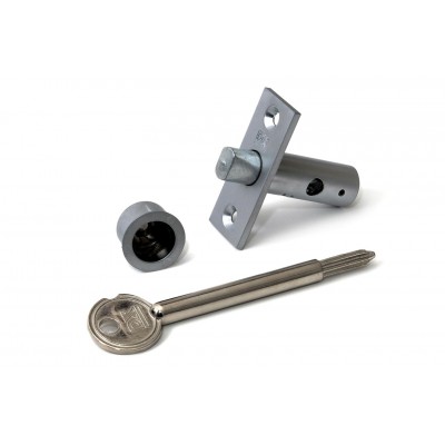 Dulimex Insteekgrendel met stersleutel sluitpot lengte 55 mm zilvergrijs