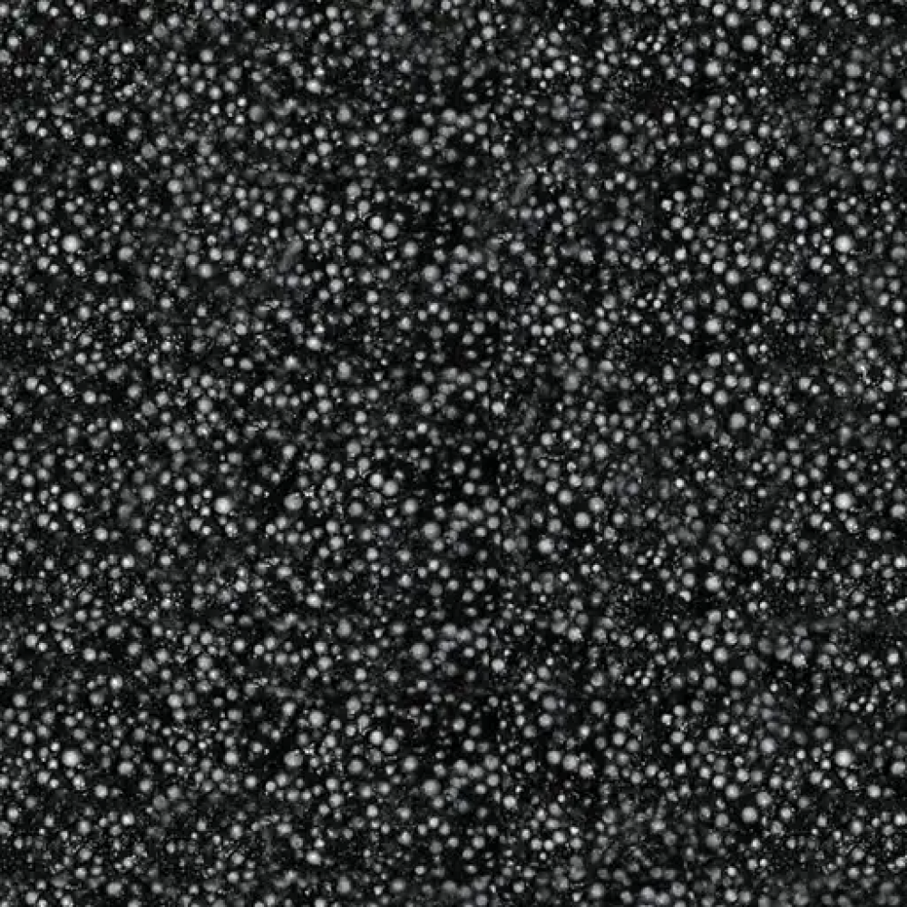 Flexim Dakmortel zwart 2 Liter