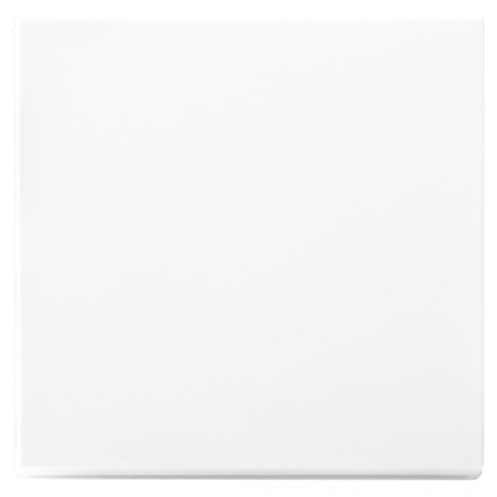 ION Industries V1/J1 tastdimmer toets - 1-voudig - 55 x 55 mm - alpin wit