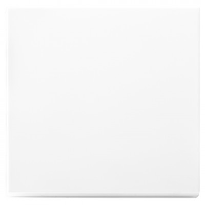 ION Industries V1/J1 tastdimmer toets - 1-voudig - 55 x 55 mm - alpin wit