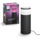 Philips Hue Outdoor Calla Sokkellamp Starterspakket White and Color Ambiance 25,2 cm hoog Zwart 8W IP65