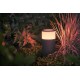 Philips Hue Outdoor Calla Sokkellamp Starterspakket White and Color Ambiance 25,2 cm hoog Zwart 8W IP65