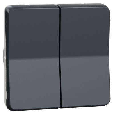 Schneider Mureva Styl schakelaar spatwaterdicht - wissel/wissel - IP55 - 71 x 71 x 40 mm - antraciet