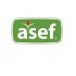 Asef