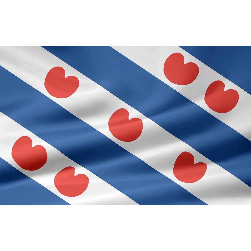 vlag friesland 225x150cm