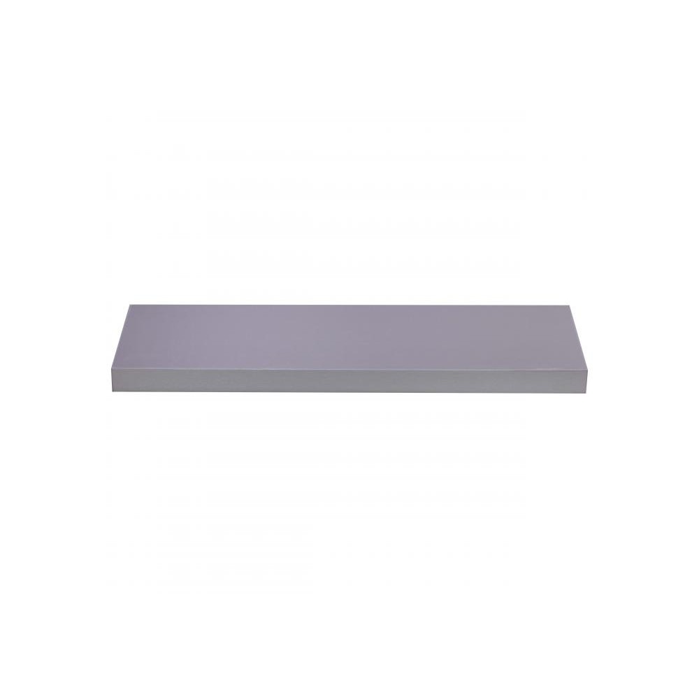 Regalo Legplank zilver geborsteld 45 mm 80x25cm