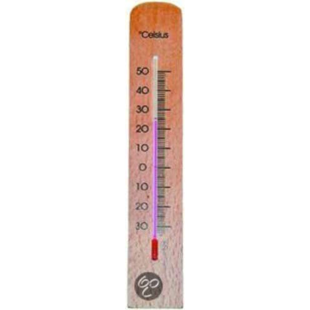 Hendrik jan thermometer beuken 20cm