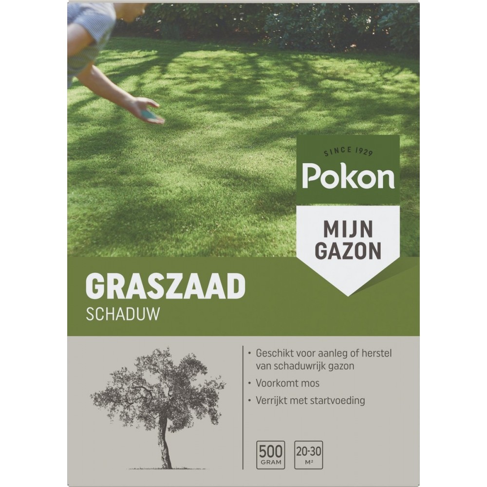 Pokon Graszaad Schaduw - 500gr - Gazonzaad - Geschikt voor 20m² tot 30m² - Speciaal voor een schaduwrijk gazon