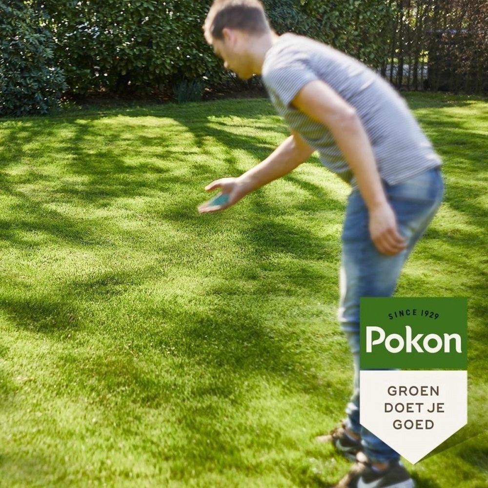 Pokon Graszaad Schaduw - 500gr - Gazonzaad - Geschikt voor 20m² tot 30m² - Speciaal voor een schaduwrijk gazon