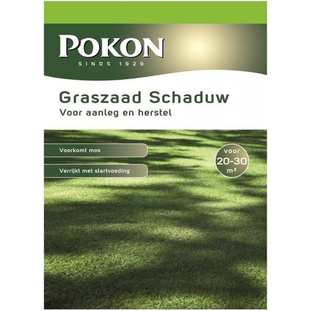 Pokon Graszaad Schaduw - 500gr - Gazonzaad - Geschikt voor 20m² tot 30m² - Speciaal voor een schaduwrijk gazon