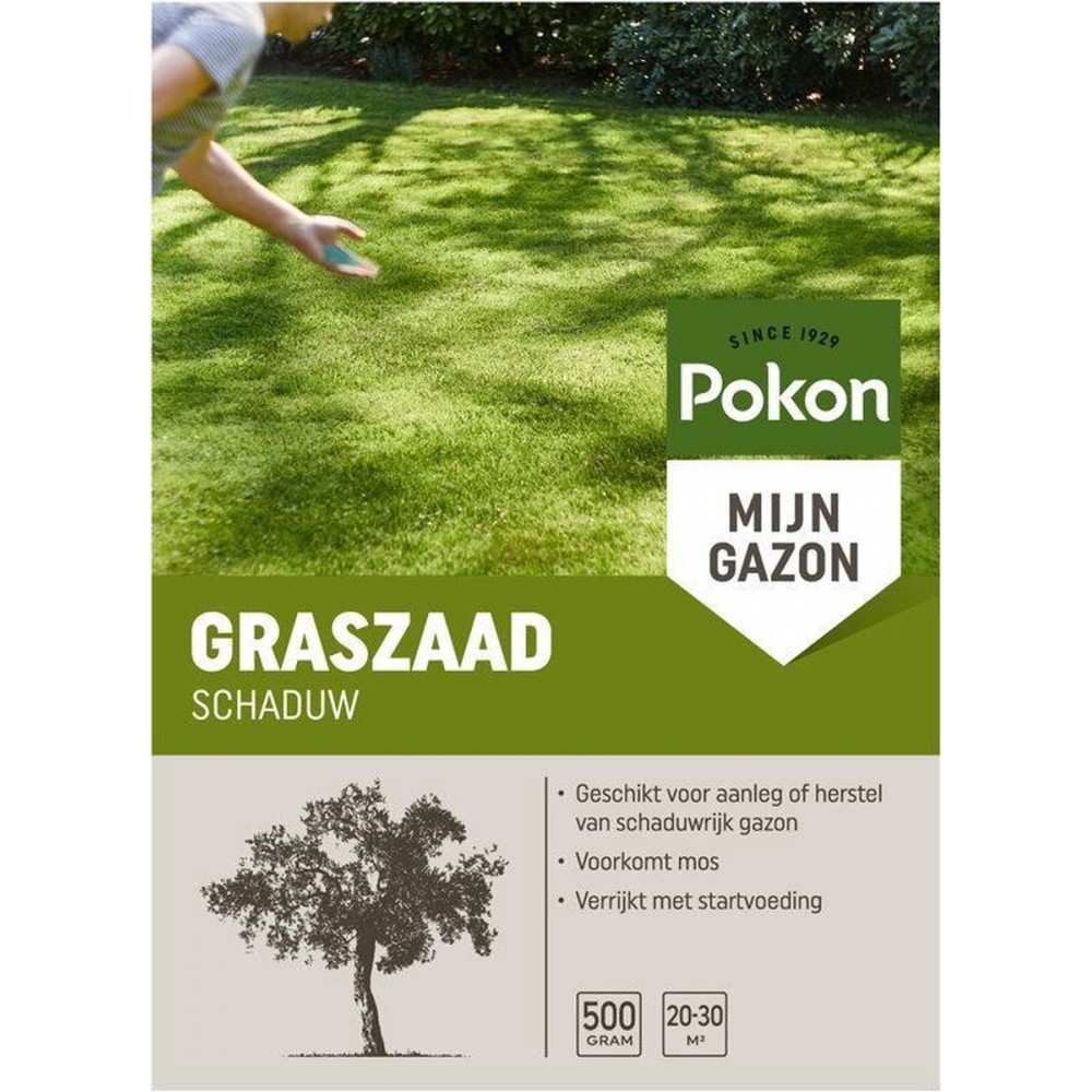 Pokon Graszaad Schaduw - 500gr - Gazonzaad - Geschikt voor 20m² tot 30m² - Speciaal voor een schaduwrijk gazon