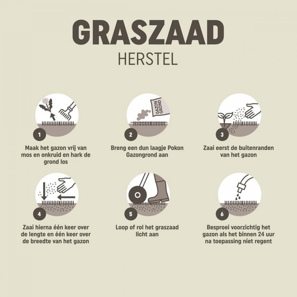 Pokon Graszaad Herstel - 2kg - Gazonherstel - Geschikt voor 80m² tot 120m² - Supersnel egaal groen gras