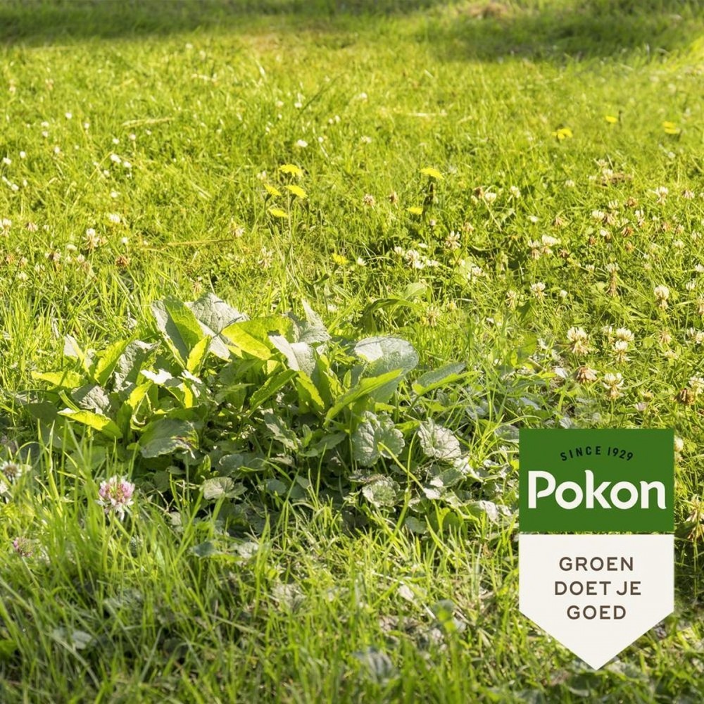 Pokon Onkruid Weg! - 800gr - Onkruidverdelger - Geschikt voor 40m² - Onkruidbestrijder