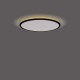 Philips Ozziet plafondlamp - rond - zwart - 18W 27K