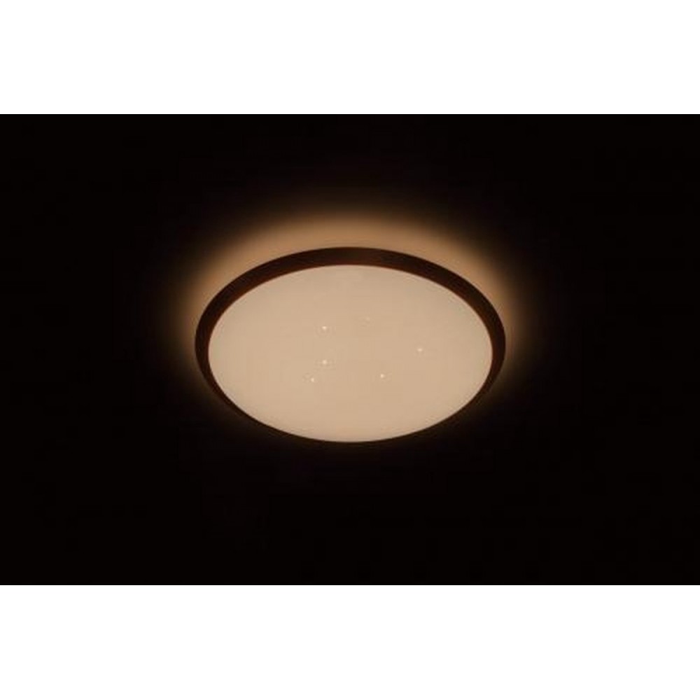 Philips Cavanal plafonnière -wit - rond - warmwit licht - 18 W