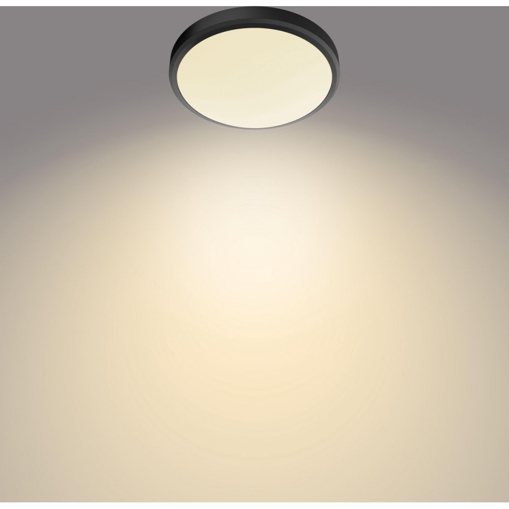 Philips Doris badkamer plafondlamp - zwart - groot - 17 W