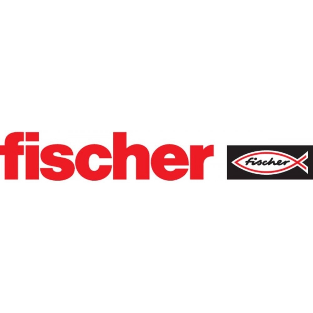 Fischer DUOPOWER 10x80 LD 2-componenten plug 80 mm 10 mm 538252 25 stuk(s)
