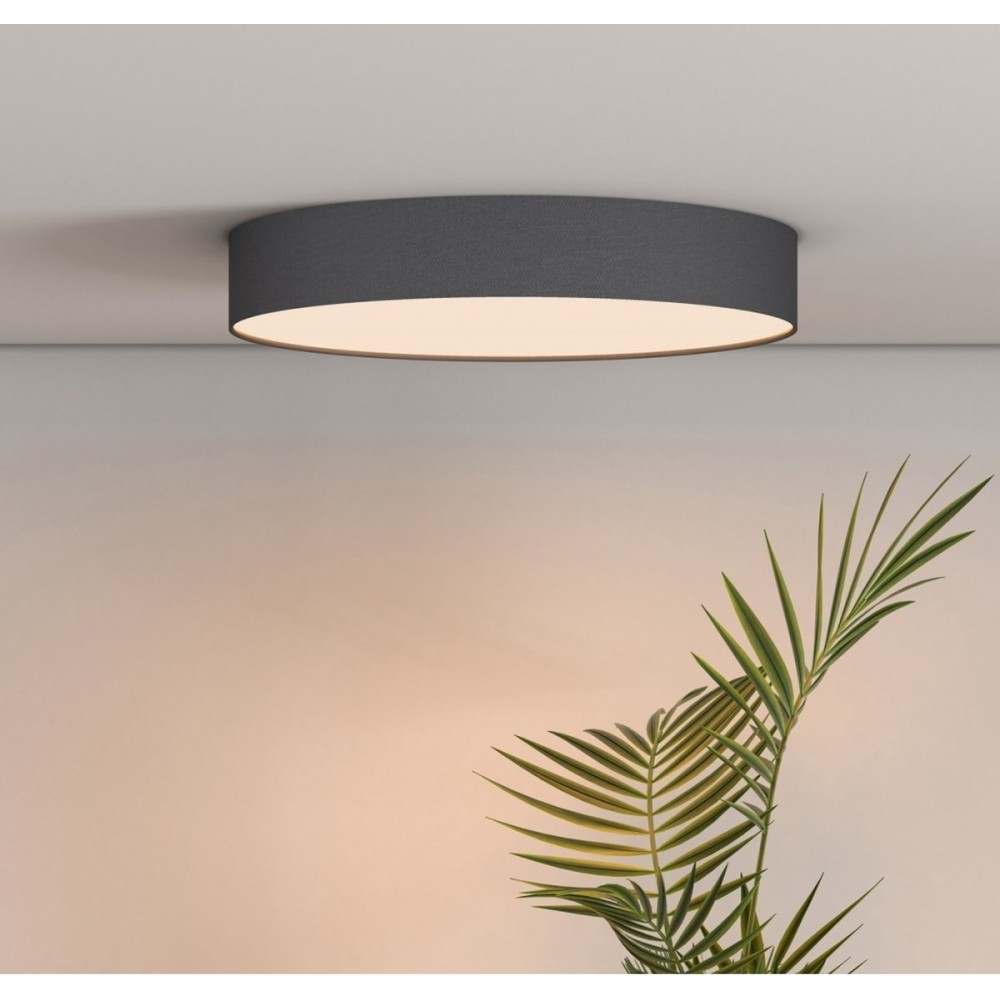 Calex Slimme Plafondlamp - Smart Plafonnière 30cm - RGB en Warm Wit - Zwart