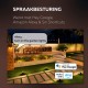 Calex Smart Outdoor 24v Tuinverlichting - Set van 3 Slimme Grondspots - Sokkellamp met RGB en Warm Wit Licht - Zwart