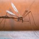 HGX spray tegen muggen en vliegen 8574N 400ml