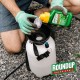 ROUNDUP® Totaal Onkruidvrij Concentraat - 500ml voor 220m² - Onkruidverdelger concentraat - Onkruidverwijderaars zonder glyfosaat