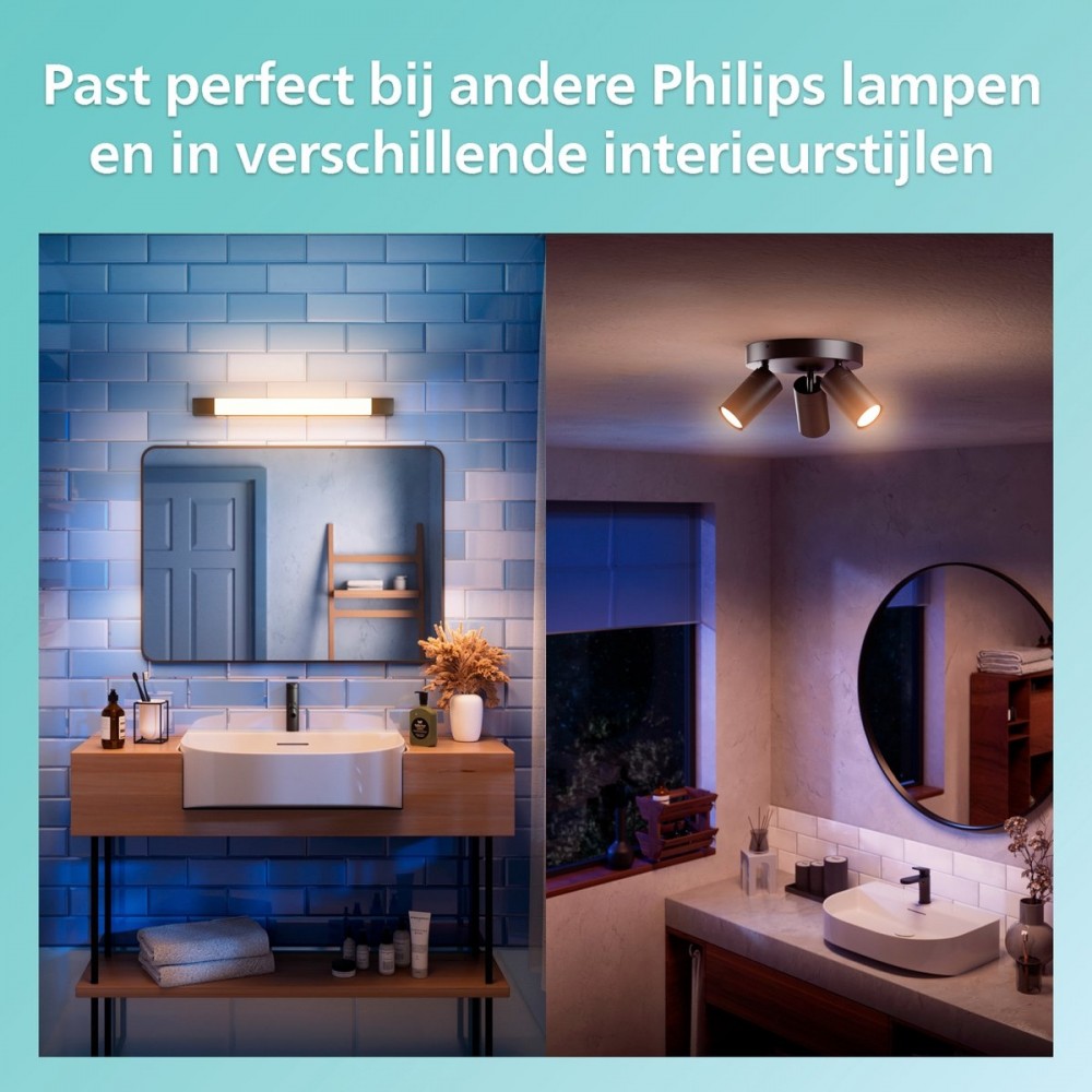 Philips Rover Spiegelverlichting - Spatwaterdicht IP44 - 5W - Warmwit licht - Badkamerlamp - Cilindervormig - Zwart