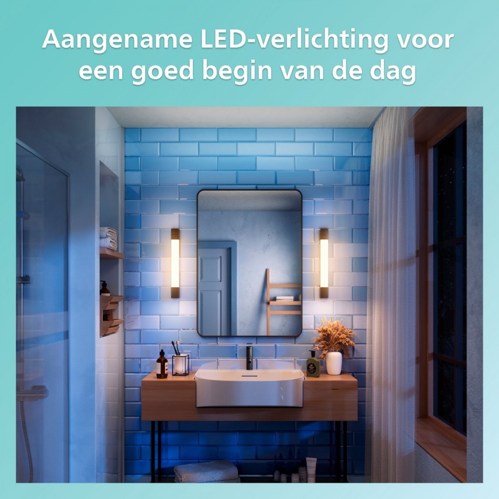 Philips Rover Spiegelverlichting - Spatwaterdicht IP44 - 5W - Warmwit licht - Badkamerlamp - rechthoekig - Zwart
