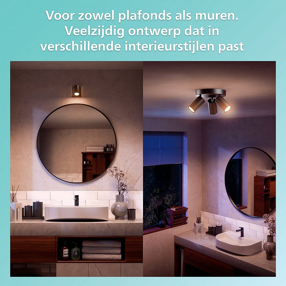 Philips Plafondspot 2 Lichts Badkamer Zwart - IDRIS