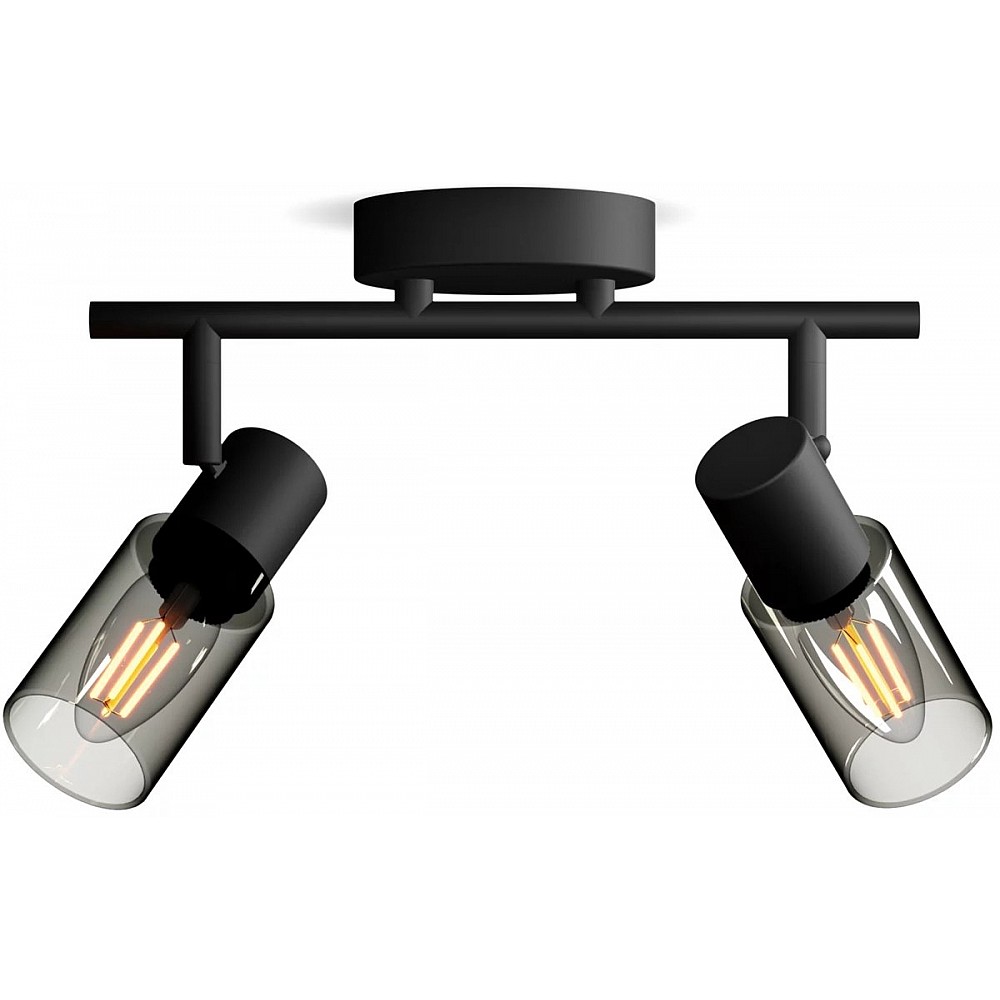 Philips Palms Spot - Plafondspot met twee lichtpunten - Met gerookt glas - Kleine fitting E14