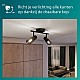 Philips Palms Spot - Plafondspot met twee lichtpunten - Met gerookt glas - Kleine fitting E14