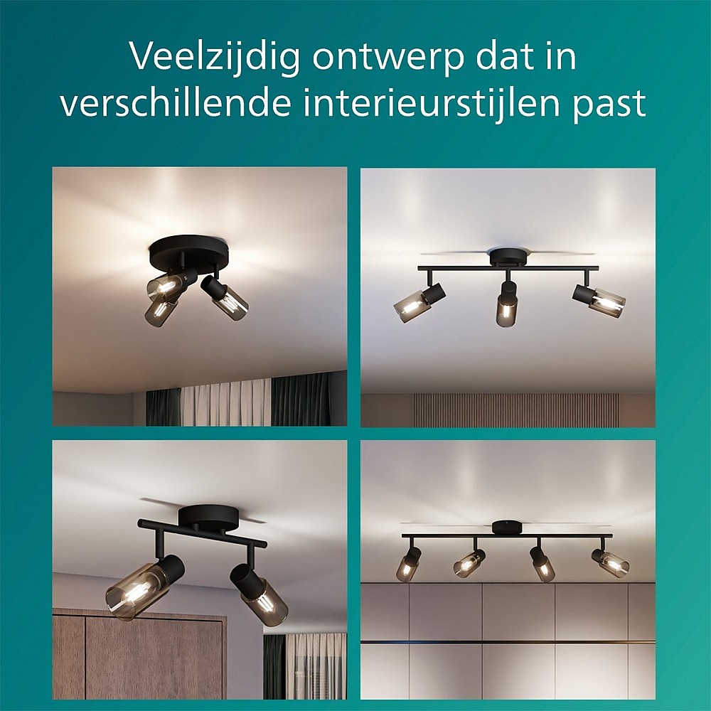 Philips Palms Spot - Plafondspot met twee lichtpunten - Met gerookt glas - Kleine fitting E14