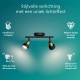 Philips Conduit Spot - Plafondspot met twee lichtpunten - Zwart met goud design - GU10 LED fitting