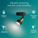 Philips CONDUIT Plafondspot 1 Lichts Zwart Goud