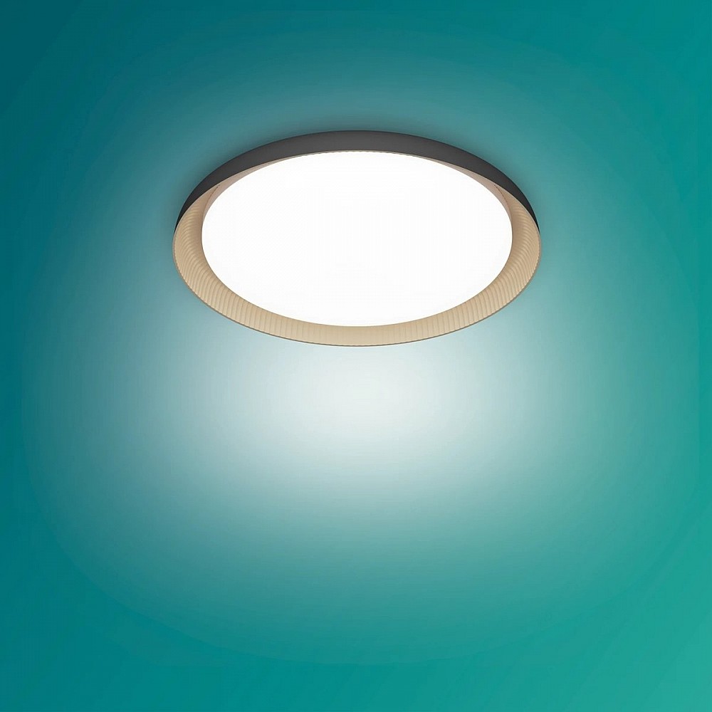 Philips Pebblo plafondlamp - Ultra Efficient - SceneSwitch lichttechnologie - 10W - warmwit licht - Zwart met goud design - Bespaar op energiekosten