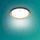 Philips Pebblo plafondlamp - Ultra Efficient - SceneSwitch lichttechnologie - 10W - warmwit licht - Zwart met goud design - Bespaar op energiekosten