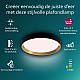 Philips Hanno plafondlamp - SceneSwitch lichttechnologie - 24W - Warmwit licht - Zwart met goud design