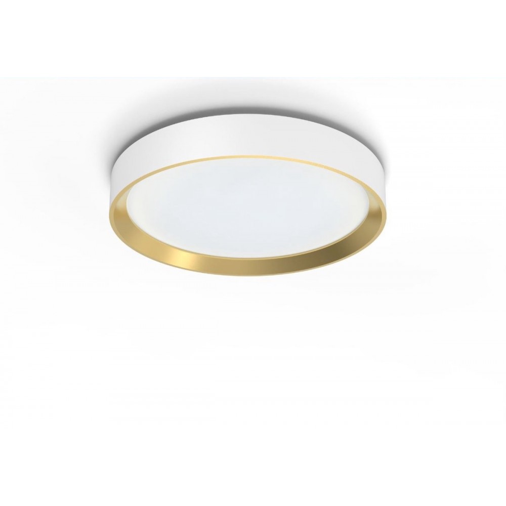 Philips plafondlamp - SceneSwitch lichttechnologie - 24W - Warmwit licht - Wit design