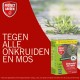Protect Garden Flitser Concentraat Onkruid Bestrijdingsmiddel - 255 ml - Onkruidverdelger - Binnen 3 uur Resultaat