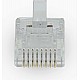 Nedis RJ45-Connector - RJ45 Pass Through - Solid UTP CAT5 - Recht - Verguld - 10 Stuks - PVC - Transparant - Doos