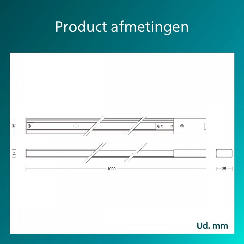 Philips EasyLink - 1 Meter rail met stroomaansluiting - Zwart - Railverlichting