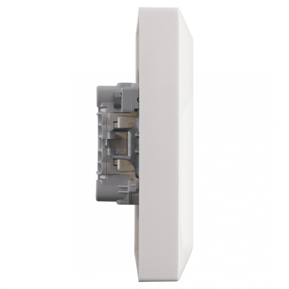 Busch-Jaeger Balance contactdoos inbouw - 2-voudig - randaarde - polarwit