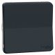 Schneider Mureva Styl schakelaar inbouw - spatwaterdicht - wissel - IP55 - 71 x 71 x 40 mm - antraciet