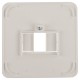 Peha Standard centraalplaat TAE/USB - polarwit